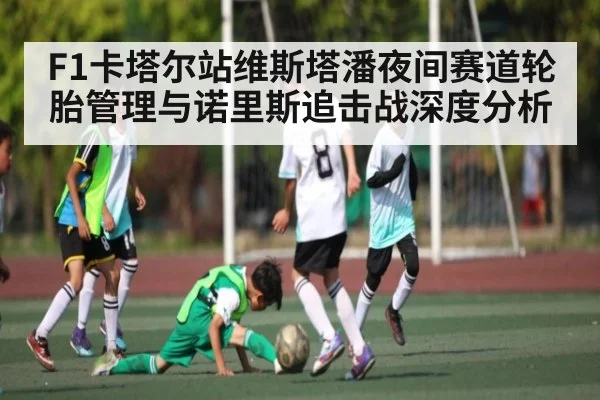 F1卡塔尔站维斯塔潘夜间赛道轮胎管理与诺里斯追击战深度分析 - kaiyun